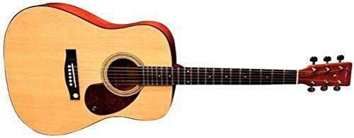Tenson F501300 Akustikgitarre D1 Dreadnought