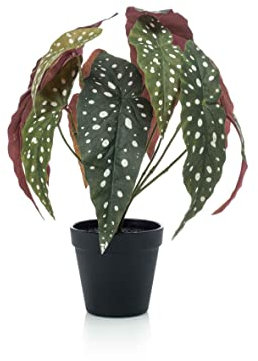 artplants.de False polka dot begonia ELISEIA, green-white, 30 cm - Artificial Polka dot begonia
