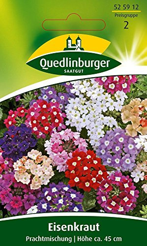 Quedlinburger Saatgut Eisenkraut, Prachtmischung Samen