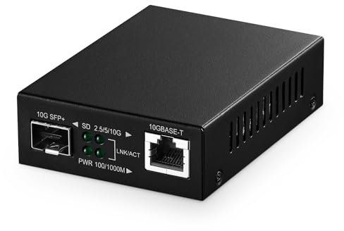 Binardat Convertitore Multimediale in Fibra 10G, 2 Porte Gigabit Ethernet Switch, 1 Porta RJ45 10G, 1 Porta SFP, Mini Custodia in Metallo Senza Ventola, Plug and Play Non Gestito