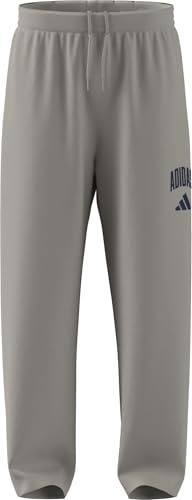 adidas Men's Collegiate Pants, Wonder Alumina/Dark Blue, S