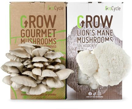 GroCycle Gourmet Kit de culture de champignons comprenant une crinière de lion + kit de culture de champignons d'huîtres | Cadeaux de jardinage pour femmes, hommes et enfants | Cadeaux de champignons