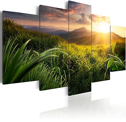 Cuadros B&D XXL - Cuadro de Cristal acrílico Paisaje Naturaleza 100x50 cm Impresión de 5 Piezas Pintura sobre Vidrio Imagen Gráfica Decoracion de Pared Montanas Pradera c-A-0095-k-m