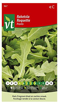 Roquette Pronto à feuille d'olive Graines - Vrai spécialité italienne