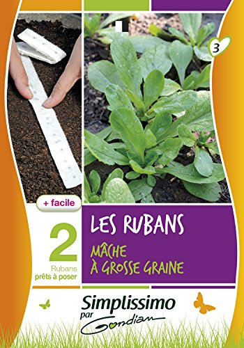 Gondian 513901 Semences-Mache à Grosse Graine (sur Ruban) -CP 3, Vert, 1x8.1x16 cm