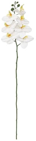 Atmosphera - Tige d'orchidée Artificielle Gisele H95cm - Blanc