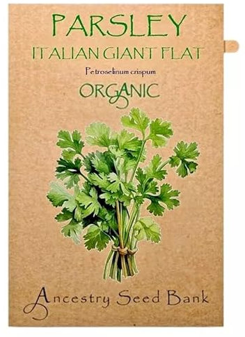 Organic Parsley ❁ Italian Giant ❁ x200 Seeds Heirloom - Non GMO