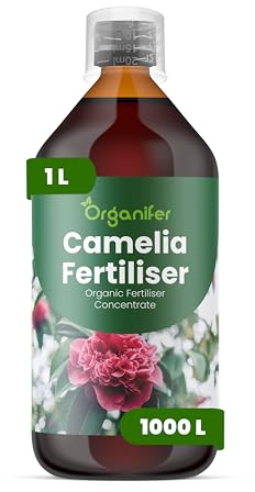 Fertilizante líquido para camelias 1L – Fertilizante orgánico para flores abundantes y hojas sanas – Favorece raíces y vitalidad – Organifer