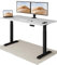 Desktronic HomeOne Standing Desk – 160 x 80 cm Height Adjustable Desk with Electric Dual Motor, Touchscreen Controller & Integrated USB/USB-C, 3 Memory Presets