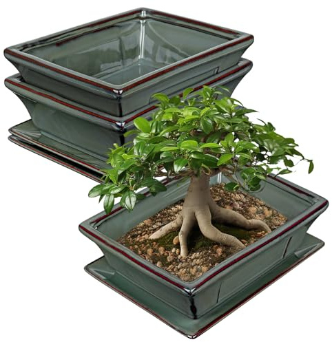 Uppsättning av 2 bonsai keramikkruka bonsaiskål med underlägg och dräneringshål för japanska bonsai inomhusväxter, retrodekoration för trädgårdsbehållarset utomhus, diameter öppning 26 cm