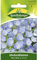 Glockenblumen Blau | Höhe ca. 30 cm (Campanula carpatica) Juni – August ab dem 2. Jahr-