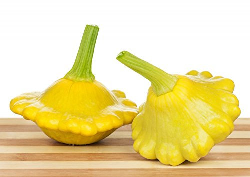 Jaune Ovni Courgette Jaune Squash - 20 Graines