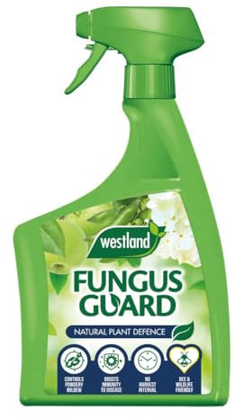 Westland Fungus Guard 800ml � Non-Toxic Ready-to-Use Fungicide Spray for Effective Control of Fungal Diseases on Plants, Flowers, Fruits, Vegetables & Shrubs, Safe for Bees