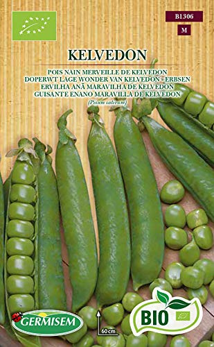 Germisem Biologico Kelvedon Semi di Piselli 80 g