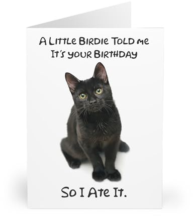 Humorous Black Cat Birthday Card - 'A Little Birdie Told Me' Joke - Perfect for Cat Lovers - Whimsical Birthday Fun - Blank Inside