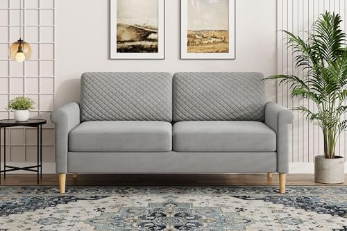 Vesgantti Samt Sofa 2 Sitzer, 164cm Sofa mit beidseitigen Taschen, Couch 2 Sitzer mit 2 Kissen und Armlehnen, Doppelsofa für Wohnzimmer, Schlafzimmer, Büro, Montage ohne Werkzeug 164L*76D*85H cm