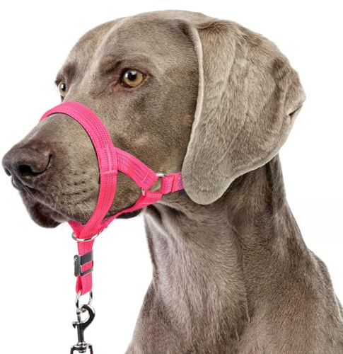 BARKLESS Sturdy No Pull Head Collar for Medium Large Dogs, Gentle Reflective Head Halter with Safety Link, Adjustable Nylon Dog Training Muzzle Leash for Walking Control (Hot Pink, M)