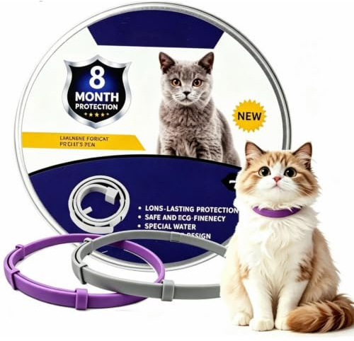 2 Pack Cat Collar for Pet Walking Playing at Home and Outdoors Daily Wear