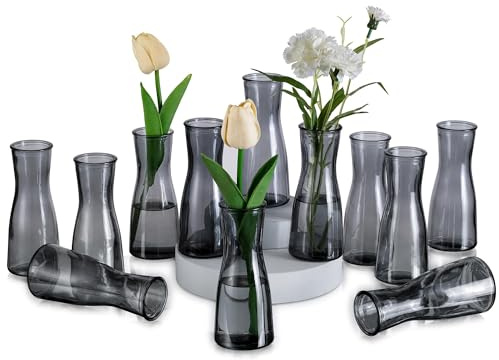 Glasseam Petits Vases en Verre pour Décoration: Vase étroit Gris Set de 12 Vases en Verre - Vase de Fleurs Minimaliste Petits Vases de Table Décoration pour Mariage Fête Centre de Table