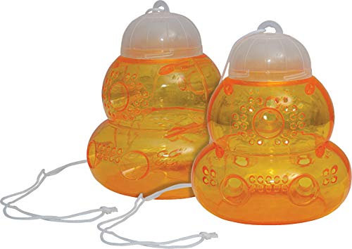 St Helens Home & Garden - Trampa para avispas y avispas (2 unidades)