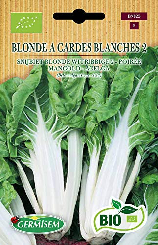 Germisem Bio Graines Poirée BLONDE A CARDES BLANCHES 2