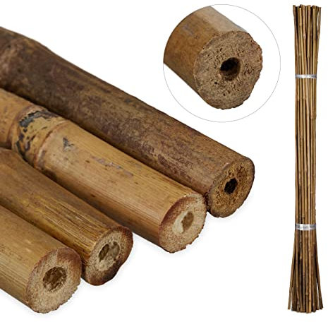 Relaxdays Tuteur pour Plante en Bambou, Lot de 40, 105 cm, Aide à la Croissance des Plantes, Déco, Tiges Bambou, Naturel