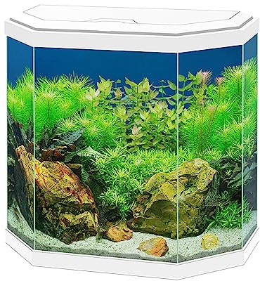 Ciano Aqua 30 White LED Hexagonal Children's Stylish Cold Water Gold Fish Tank