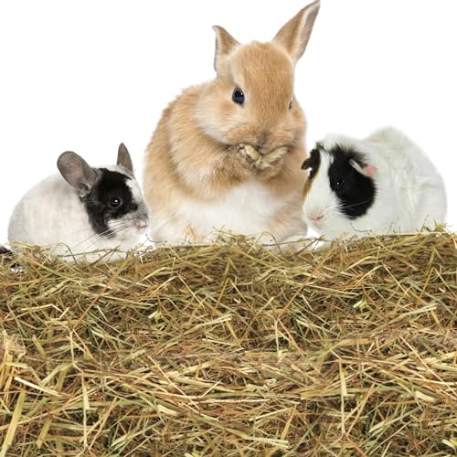 Nobleza - (3 * 2.5kg Heno para Conejos, Comida Premium para Conejos Adultos, Alimento con Fibra Desgaste de los Dientes y Salud Dental