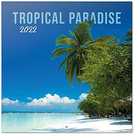 Grupo Erik - Calendrier Mural 2022 Tropical Paradise - 16 Mois | Calendrier 2022 Mural Mensuel, De Septembre à Décembre 2022 | 30 x 60 cm, 6 langues, Certifié FSC