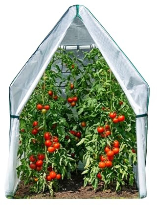 WESTMANN Überwinterungszelt Chili 120x120x180 cm Weiß Pflanzenschutz