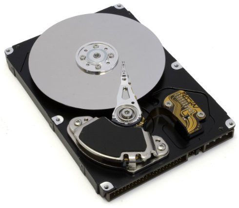 Western Digital Caviar Blue WD800JD - Hard drive - 80 GB - internal - 3.5 - SATA-150 - 7 pin Serial ATA - 7200 rpm - buffer: 8 MB