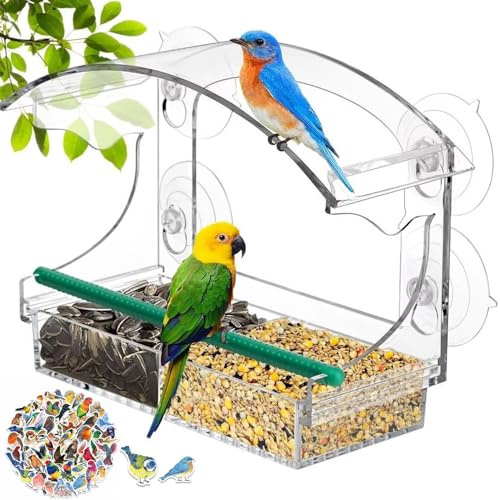 Comedero Transparente para Aves para Ventana - Exterior con 3 Ventosas y Posadera (25×15.5 cm)