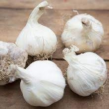 semillas de ajo de múltiples pétalos 100pcs/bag acuáticas gigantes vegetales orgánicos de cocina bonsai sazonar los alimentos o plantas de maceta para el jardín de 2