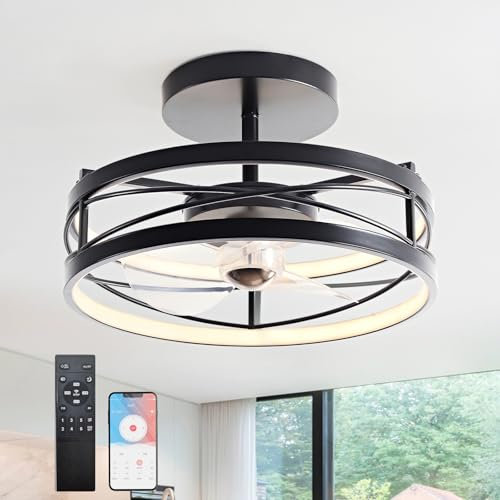 Ventilateur De Plafond LED Silencieux Avec Éclairage, Moderne Ventilateur de plafond Réversible et Telecommande, Réglable 6 vitesses pour le salon Salle à manger Chambre à coucher(Noir,φ40*25cm)