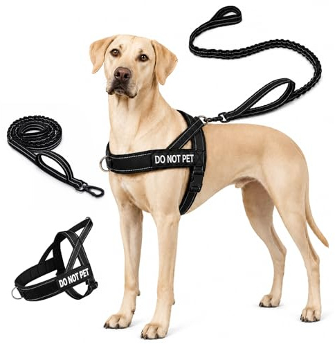 Quelcc Harnais Chien Anti Traction Réglable, Harnais pour Chien avec Poignée de Contrôle, Harnais de Sécurité Réfléchissant avec Anneau Devant et Dos, Harnais pour Chien Moyen Grand Noir L
