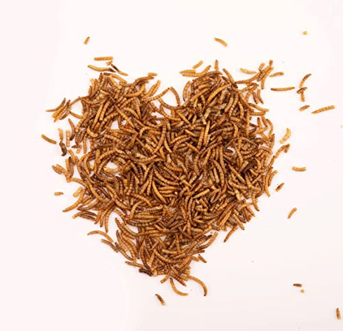 BREERs Mehlwürmer getrocknet 1Kg Futter Wildvogelfutter ganzjährig Insektensnack Igelfutter Hamster Eichhörnchen Fischfutter Nager Reptilien Geflügelfutter Schildkröten Vögel Fische Igel Vogelfutter