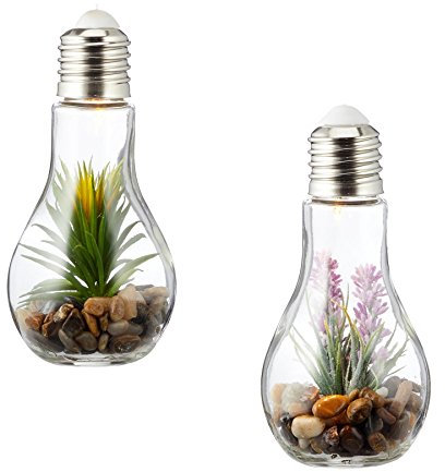 levandeo 2er Set Sukkulenten LED Glühbirne Glas B x H: 8x19cm Deko Lampe Kunstpflanze Grün Hängelampe Tischdeko