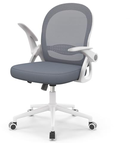 naspaluro Home Office Chair Ergonomic Desk Chair - Gray Blue | Swivel Computer Chair Mid-Back Mesh Chair with Flip-up Armrests and Lumbar Support for Home/Office