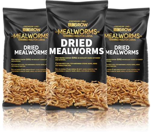 Premium Dried Mealworms for Wild and Garden Birds - High Protein Natural Bird Feed - Perfect for Robins, Blue Tits, and More (5 Litre)