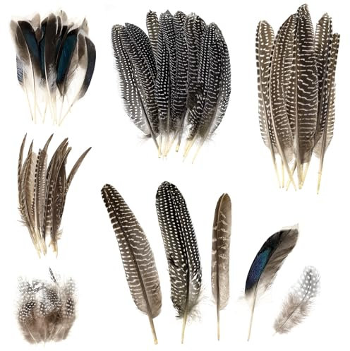 taonganui 50 Stück Federn zum Basteln, Natur Federn zum Basteln Federn Basteln Indianer Federn Federn Deko für DIY Ostern Halloween Dream Catcher Maske Hüte