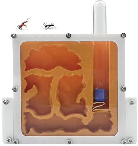3D Printed Ant Farm Terrarium, Orange Acrylic Housing, Multi-Level Design, Educational Formicarium with Test Tubes for Small Ant Colony