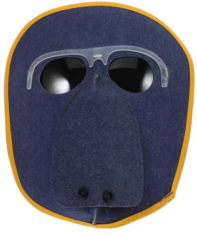 HOMSFOU Casque De Soudage avec Lunettes De Masque Facial Anti-éclaboussures Équipement De Sécurité pour Travaux De Soudage