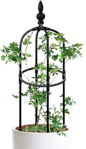 Enrejado para Plantas de jardín Soporte de obelisco de 90 cm de Alto Redondo Resistente a la corrosión Marco fácil de Montar para macetas Plantas trepadoras de jardín Interior.