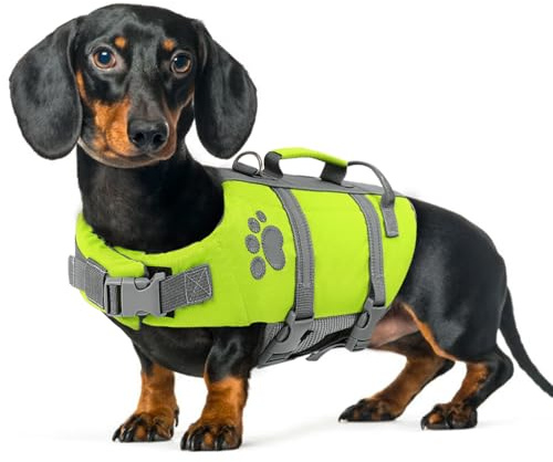 Queenmore XS Dog Life Jacket, Puppy Life Jackets for Small Dogs, Small Doggie Life Vest for Swimming, Lightweight Extra Small Dog Swim Vest with Handle, Puppy Life Vest for Boating, Cat Lifevest