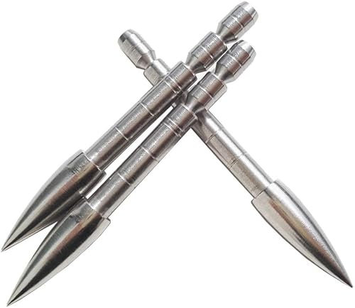 SHARROW 12pcs Pfeilspitze Pfeil Tipps Einfügen Feld Punkt for ID 4,2 mm Carbonpfeile Pfeilwelle (100 Grains)