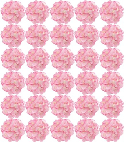 FagusHome 30 Pcs Silk Hydrangea Heads Artificial Flowers Only Heads No Stems Fake Hydrangea Flowers for Home Wedding Decor No Stems (Dark Pink)