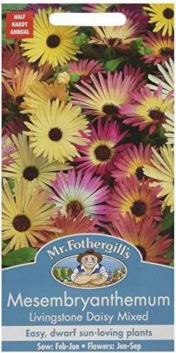 Mr Fothergill's Mesembryanthemum Livingstone Daisy Mixed