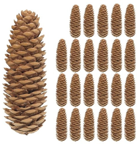 Larber 24 PCS Pine Cones for Craft, 9.5-13cm Large Pine Cones, Fir Cones for Decoration,Wreaths,Christmas Tree,Table, Vase Fillers,Home Decor
