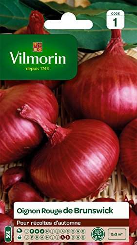 Vilmorin 3751041 Oignon Rouge 9 x 0,5 x 16 cm