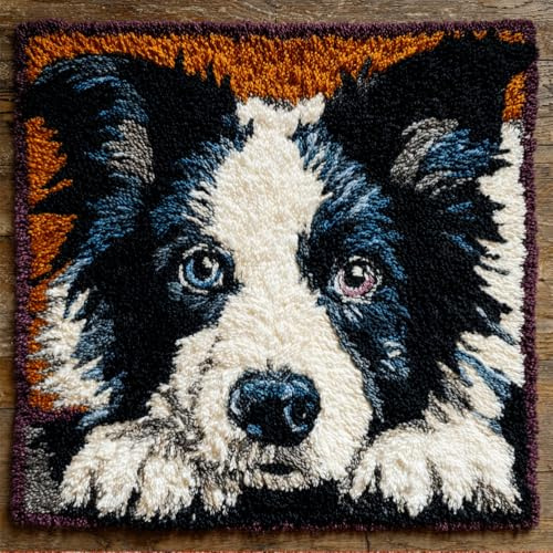 Rqwybcaxn Latch Hook Kit,Border Collie Dog Pet Latch Hook Kits for Adults DIY Decorative Pillowcase Embroidery Cross Stitch Arts Craft for Home Sofa Furniture 17X17Inch